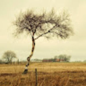 Meet your Posher, Henry